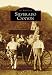 Silverado Canyon (Images of America (Arcadia Publishing)) Image