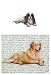 Cavalier King Charles (Blenheim) Glass Cutting Board