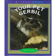 Your Pet Gerbil (True Books - Pets)