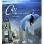 Cats of the Greek Islands