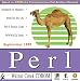 Perl, May 1997, 1 CD-ROM Versions 5.001m, 5.002, 5.003 for Solaris, SunOS, Linux, FreeBSD, Windows NT/95/3.1, Mac, OS/2, DOS, Amiga and Atari