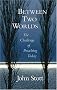 Between Two Worlds: The Art of Preaching in the Twentieth Century (Studies and Documents)