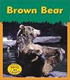 Brown Bear (Zoo Animals)