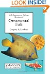 Ornamental Fish