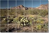 IMAGE OF Deserts Photo Custom Tile Mural 8. 12.75x17 inches using (12) 4.25x4.25 ceramic tiles.