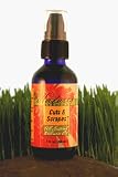 Cuts and Scrapes Wellness Oil 2 fl. oz.
