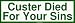 Custer Died For Your Sins Large Bumper Sticker