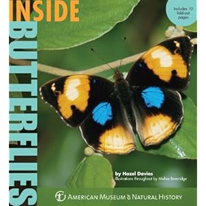 Inside Butterflies (Inside Series)