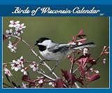 cover of Birds of Wisconsin 2007 Calendar