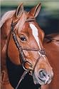Heritage Raised Figure 8 Bridle with Rubber Reins
