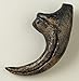 Allosaurus Claw Replica
