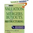 Valuation for Mergers, Buyouts, and Restructuring (Wiley Finance)