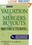Valuation for Mergers, Buyouts, and Restructuring (Wiley Finance)