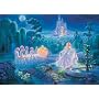 Jumbo Puzzle - Tom Du Bois Collection - Cinderella (1000 pieces)