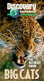 VHS : Ultimate Guide: Big Cats
