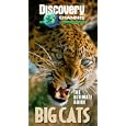 Buy Ultimate Guide: Big Cats