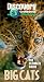 Price Comparison : Ultimate Guide: Big Cats