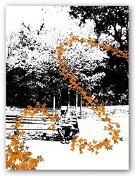 Orange Butterflies by Miguel Paredes 11"x14" Art Print Poster Latin
