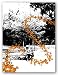 Orange Butterflies by Miguel Paredes 11"x14" Art Print Poster Latin
