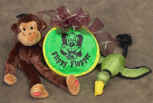 Detail image Dog Gift Set 3 - Flying Duck, Flippy Flopper & Monkey Toy