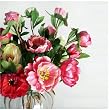 Artifical Flora Peony - Flower 6pcs