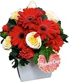 �y09��̓��z��������!�T���N�X�A�����W(���b�h)