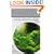 Nature Aquarium World: Bk. 3