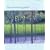 The Minimalist Garden (Mitchell Beazley Gardening)
