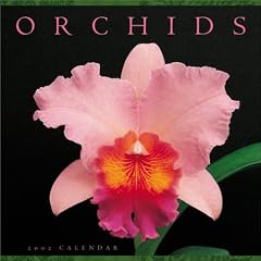 Orchids 2002 Calendar