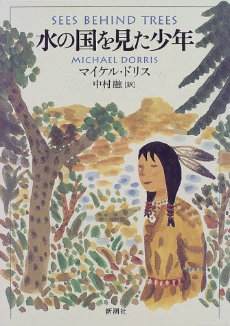 水の国を見た少年