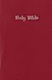 NIrV Gift and Award Bible