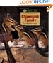 Chipmunk Family (Wildlife Conservation Society Books)