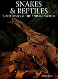 Snakes & Reptiles: A Portrait of the Animal World