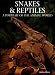 Snakes and Reptiles: A Portrait of the Animal World