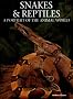 Snakes & Reptiles: A Portrait of the Animal World