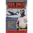 Red Tails Black Wings: The Men of America's Black Air Force