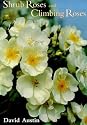 Shrub Roses and Climbing Roses