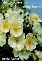 Shrub Roses and Climbing Roses