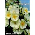 Shrub Roses and Climbing Roses: With Hybrid Tea and Floribunda Roses