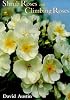 Shrub Roses and Climbing Roses