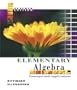 Elementary Algebra: Concepts and Applications (7th Edition)