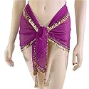 Single-Row Bellydance Coin Hip Scarf with hand crocheted detail, beads, and belly dance coins - Available in Black, Red, or Purple, Purple/Gold