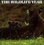 The Wildlife Year: Life Cycles of Nature Around the World