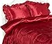 Read Scent-Sation Charmeuse Satin Comforter, 4-Piece Set, King, Red Details Scent-Sation Charmeuse Satin Comforter, 4-Piece Set, King, Red