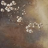 Glamorous I by Patricia Pinto Art Print Poster 20 x 20