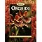 My favorite orchid books, in no particular order