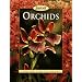 Orchids (Sunset)