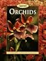 Orchids (Sunset)