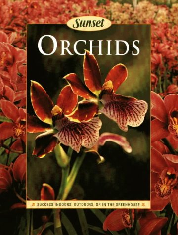 Orchids (Sunset)