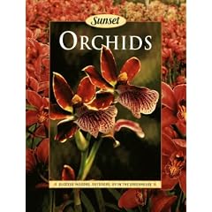 Orchids (Gardening & Landscaping)